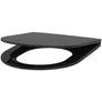 Kép 1/4 - DELABIE vandálbiztos WC-ülőke fedővel és rozsdamentes acél zsanérokkal vandálbiztos DELABIE WC-hez, duroplast, fekete
