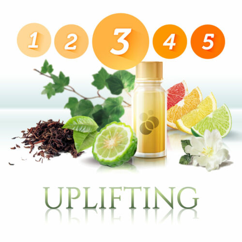 SensaMist Uplifting légfrissítő illatolaj illatdiffúzorba 1L - fűszeres, citrus, jázmin, bergamott, borostyán