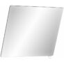 Kép 1/2 - DELABIE keret nélküli dönthető tükör fehér nylon alsó döntőkarral, 20°-ban állítható, 6 mm vastag biztonsági üveggel, 600x500 mm