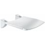 Kép 1/6 - DELABIE Comfort ülőfelületű felhajtható zuhanyülőke, 420x506mm, fehér r.m. acél vázon