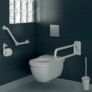 Kép 3/6 - DELABIE akadálymentes fali WC-kefe hosszú szárral, nagy szilárdságú nylon-ból, kivehető belső tartállyal, lopásbiztos rögzítéssel, fehér