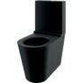 Kép 1/2 - DELABIE vandálbiztos monoblokkos WC öblítőtartállyal, álló, 1,5mm r.m. acél, matt fekete Teflon bevonat, DEL110390BK